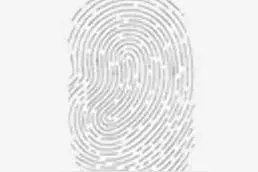 香功的内丹本质图片