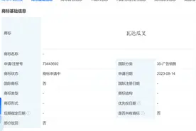谐音梗？ 万达广场申请瓦达刮擦商标   万达广场申请哇哒呱嚓商标图片