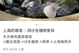 近期暴长！上海网友都在晒！发出灵魂二连问，紧急提醒→图片