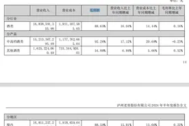 泸州老窖上半年盈利超80亿，中高档酒类毛利率小幅下滑图片