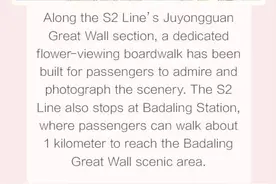 一图体验丨北京赏花列车图片