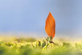 提笔为思 落笔为念图片