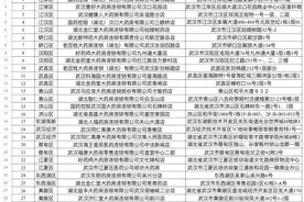 事关门诊慢特病，武汉医保最新解答图片