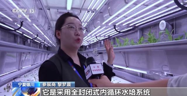 蔬菜大棚搬进展厅 机器人大厨作美食 这届中阿博览会不要太好玩