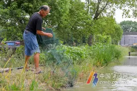 单只重约60克 宁波地产小青龙上市图片