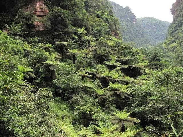 国庆中秋跟着谭晶游叙永——画稿溪