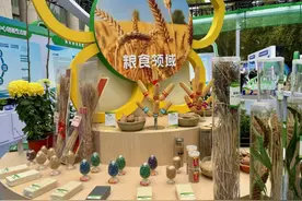 2024中原农谷国际种业大会开幕！多个重大合作项目现场签约图片