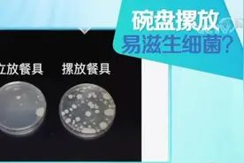 这样洗碗，细菌增加70倍！大部分人都白洗了图片