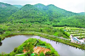 读懂广州·粤韵丨人杰地灵西樵秀 沧海桑田文脉盛图片