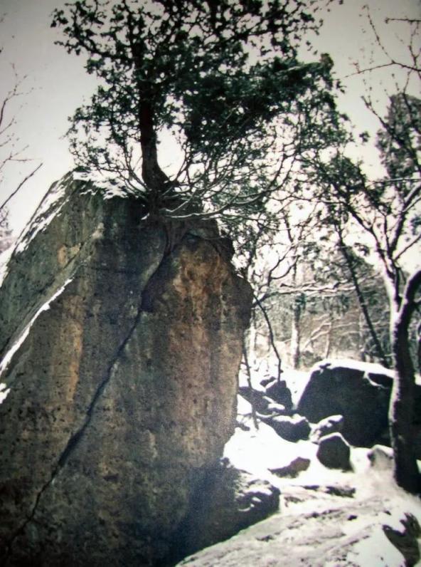 活动招募丨曹雪芹西山故里研学活动