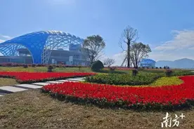 全年提升美丽景观158公里，汕尾公路“颜值”再刷新图片