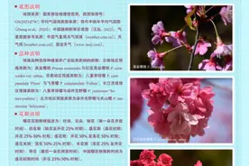 春暖花开，跟着《中国樱花预报2025》一起赏樱花图片