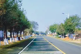 今年大连农村公路大中修改造39条线路100公里全部完工图片