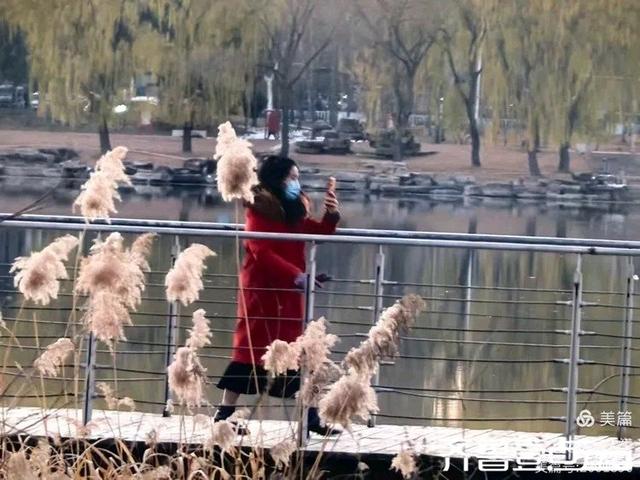 她的背影，是我一生的港湾