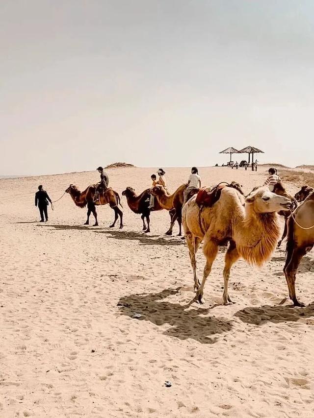 当朱迪尼克来到江西～原来这里也是疯狂动物城！
