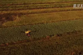 春天里的“预”见｜从2300万飞行小时预见低空经济图片