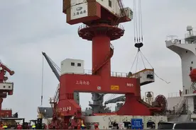 奇异果包船，来啦！图片