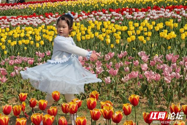 【赴春之约】郁见浪漫：长沙园林生态园的春日视觉盛宴