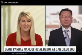 中国驻美大使谢锋：亲近熊猫、远离烦恼图片