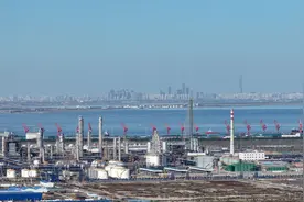 天津南港工业区打造千亿级石化产业集群图片