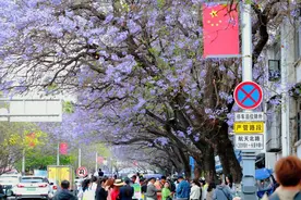 你的“五一”旅行目的地是哪里？ 看看油宝的倾心推荐图片