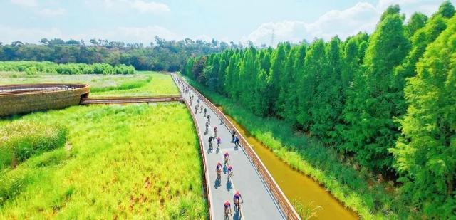 “美在昆明​”入选中国旅游产业影响力典型案例