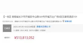 富力旗下五星级酒店拍卖落槌！成交价5.14亿元图片