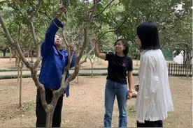 秋季紫薇为什么要修剪，南干渠园艺师为市民解惑答疑图片