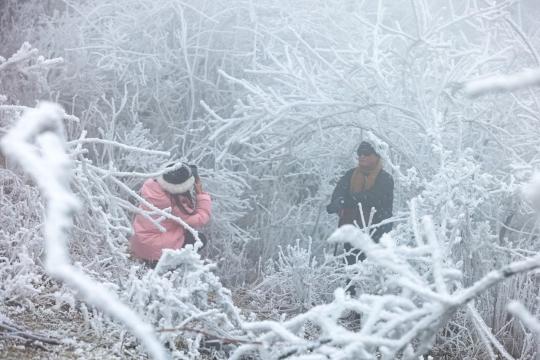 贵定：元龙山雪景醉游人