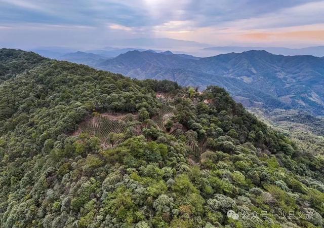 海拔1074米之上，三明这里藏着一片会流动的山！你去过吗