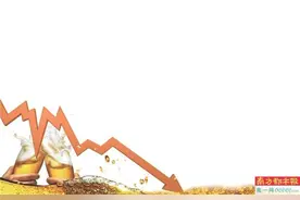 百威去年“增收不增利”，“被放养”的哈啤如何破局？图片