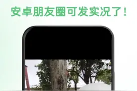 微信新功能上线！网友：太好了！图片