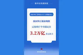 新华社权威快报｜我国外汇储备规模连续17个月稳定在3.2万亿美元以上图片