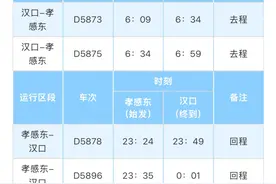 凭证乘坐！孝感东⇄汉口“王者荣耀”专列开通！图片
