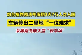 烟台植物园清明假期3天7万人次入园，车辆停出二里地“一位难求”，莱源路变成大型“停车场”…图片