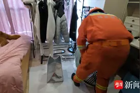 八楼家中惊现1米青蛇，消防员上演“捕蛇惊魂记”图片