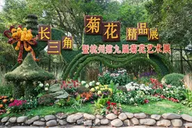 打卡者络绎不绝，杭州植物园的菊花大展开幕，今年有这些亮点图片