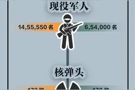冲突升级 九组数据对比印巴军事实力图片