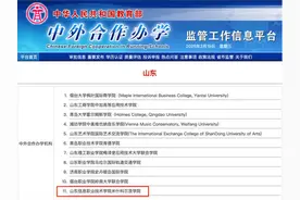 山东信息职业技术学院获批设立山东信息职业技术学院米什科尔茨学院图片