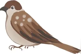 《哪吒之魔童闹海》中的鹤童，你知道是哪种鹤吗？图片