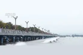 “无人机+声纹图谱识别+高清摄像机” 生物多样性保护有了数据支撑图片