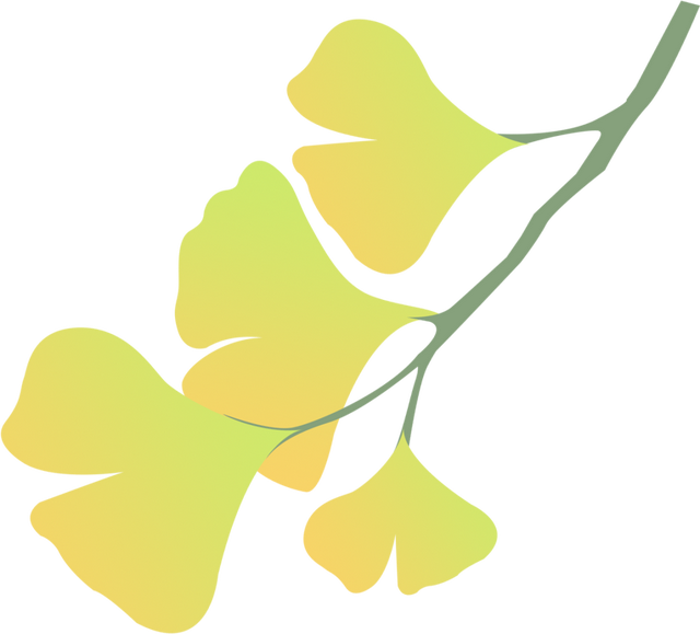 地铁直达！上海这个免费公园化身金色世界→