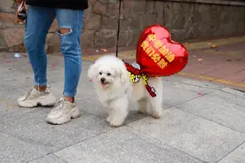 我能考120分！青岛中考首场结束，考生信心满满图片