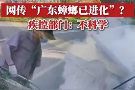 广东蟑螂杀虫剂杀不死，网友大呼“进化”了！疾控部门：有抵抗力但不强，可加大剂量！图片