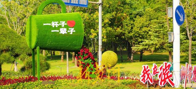 花漾滨州城，共赴山海约