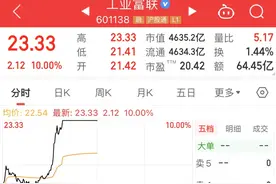 逾113万手封单，涨停！图片