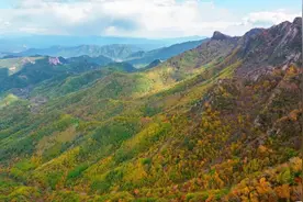 红叶上线！北京这里已进最佳观赏期图片