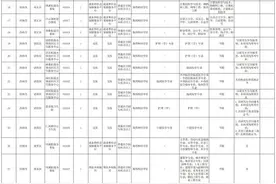 2025年济南市高校毕业生“三支一扶”计划招募补充公告图片