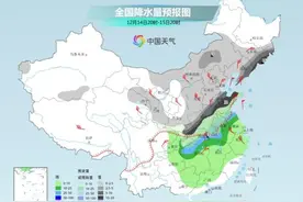 沈阳今晚中到大雪！部分列车停运！城区主要降雪时段为……图片