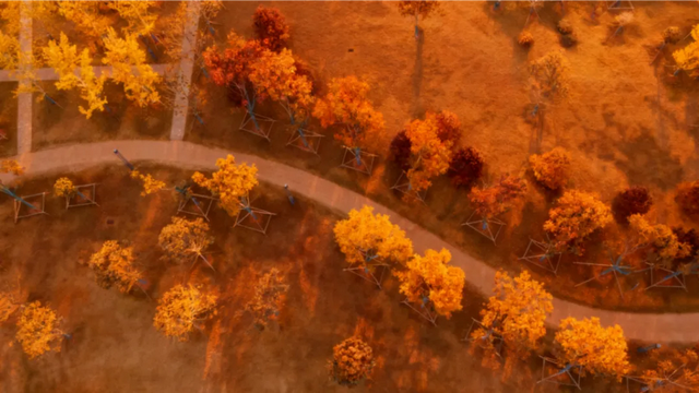 走进西安4大免费开放的宝藏公园